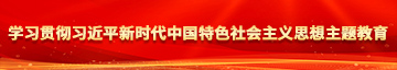 黄色日逼的视频学习贯彻习近平新时代中国特色社会主义思想主题教育