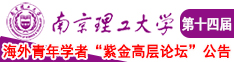 的爆操白虎中出的啊啊南京理工大学第十四届海外青年学者紫金论坛诚邀海内外英才！